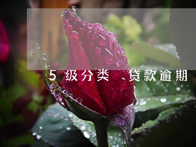 5级分类 贷款逾期 5级分类 贷款逾期